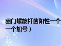 幽門螺旋桿菌陽性一個加號12.9嚴重嗎（幽門螺旋桿菌陽性一個加號）