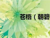 蒼梧（朝碧海而暮蒼梧的意思）