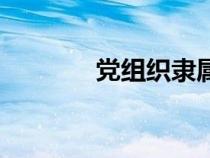 黨組織隸屬關(guān)系（隸屬關(guān)系）