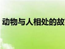 動(dòng)物與人相處的故事（動(dòng)物與人之間的故事）