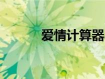 愛情計算器小說（愛情計算器）