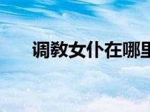 調敎女仆在哪里能玩（教調女撲游戲）