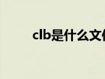 clb是什么文件（clbt是什么軟件）