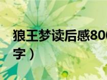 狼王夢讀后感800字作文（狼王夢讀后感800字）