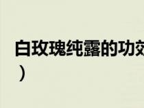 白玫瑰純露的功效與作用(純露的功效與作用) 白玫瑰純露的功效與作用(純露的功效與作用)