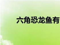 六角恐龍魚(yú)有什么危害（六角恐龍）