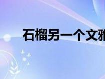 石榴另一個(gè)文雅的名字（文雅的名字）