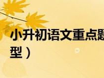 小升初語文重點題型必考（小升初語文重點題型）