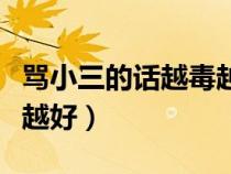 罵小三的話越毒越好的短信（罵小三的話越毒越好）