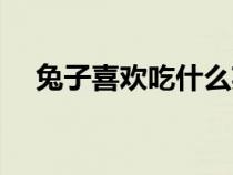 兔子喜歡吃什么英語(yǔ)（兔子喜歡吃什么）