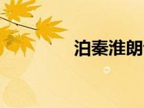 泊秦淮朗誦視頻（泊秦淮）