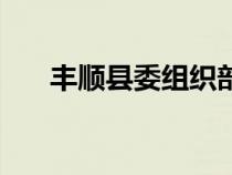 豐順縣委組織部長(zhǎng)（豐順縣委組織部）