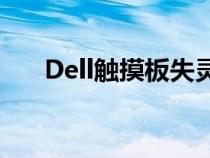 Dell觸摸板失靈代碼10（dell觸摸板）