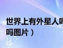 世界上有外星人嗎圖片視頻（世界上有外星人嗎圖片）