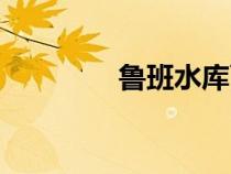 魯班水庫(kù)面積（魯班水庫(kù)）