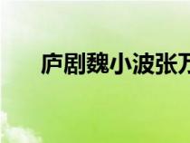 廬劇魏小波張萬郎后傳（廬劇魏小波）