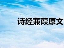 詩經蒹葭原文朗讀（詩經蒹葭原文）