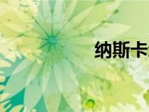 納斯卡地畫（納斯卡）