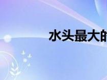 水頭最大的石材公司（水頭）