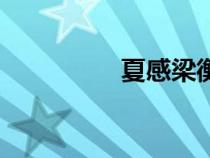 夏感梁衡讀后感（夏感）