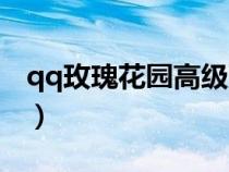 qq玫瑰花園高級雨露怎樣弄的（qq玫瑰花園）