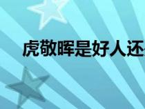 虎敬暉是好人還是壞人（敬暉和虎敬暉）
