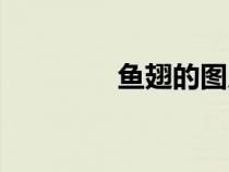魚翅的圖片與價格（魚翅）