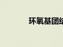 環(huán)氧基團(tuán)結(jié)構(gòu)式(環(huán)氧基團(tuán)) 環(huán)氧基團(tuán)結(jié)構(gòu)式(環(huán)氧基團(tuán))