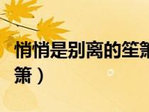 悄悄是別離的笙簫如何理解（悄悄是別離的笙簫）