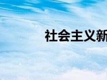 社會主義新農(nóng)村建設(shè)20字方針
