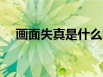 畫面失真是什么意思（失真是什么意思）