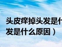 頭皮癢掉頭發(fā)是什么原因引起的（頭皮癢掉頭發(fā)是什么原因）