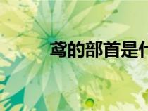 鳶的部首是什么偏旁（鳶的部首）