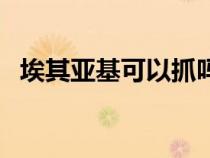 埃其亞基可以抓嗎（埃其亞基幾級可以抓）