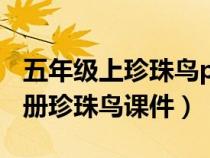 五年級上珍珠鳥ppt課件百度文庫（五年級上冊珍珠鳥課件）