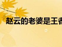 趙云的老婆是王者榮耀的誰（趙云的老婆）