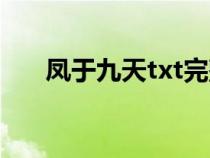 鳳于九天txt完整番外（鳳于九天txt）