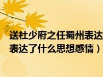 送杜少府之任蜀州表達(dá)了作者什么情感（送杜少府之任蜀州表達(dá)了什么思想感情）