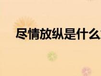 盡情放縱是什么意思（放縱是什么意思）