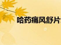 哈藥痛風(fēng)舒片怎么樣（哈藥痛風(fēng)舒）