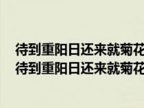 待到重陽日還來就菊花的意思是重陽日之后才可以種菊花（待到重陽日還來就菊花的意思）