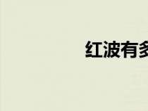 紅波有多少號(hào)碼（紅波）