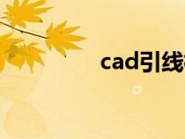 cad引線標注（cad引線）