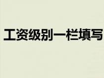 工資級(jí)別一欄填寫（企業(yè)工資級(jí)別怎么填寫）