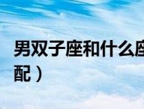 男雙子座和什么座最配對（天蝎男和什么座最配）
