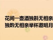 花間一壺酒獨(dú)斟無(wú)相親舉杯邀明月對(duì)影成三人(花間一壺酒獨(dú)酌無(wú)相親舉杯邀明月對(duì)影成三人) 花間一壺酒獨(dú)斟無(wú)相親舉杯邀明月對(duì)影成三人(花間一壺酒獨(dú)酌無(wú)相親舉杯邀明月對(duì)影成三人)