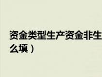 資金類(lèi)型生產(chǎn)資金非生產(chǎn)資金(資金性質(zhì)生產(chǎn)性非生產(chǎn)性怎么填) 資金類(lèi)型生產(chǎn)資金非生產(chǎn)資金(資金性質(zhì)生產(chǎn)性非生產(chǎn)性怎么填)