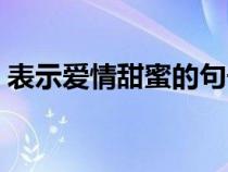 表示愛情甜蜜的句子（表達愛情甜蜜的句子）