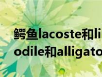 鱷魚lacoste和live區(qū)別(請問關(guān)于鱷魚crocodile和alligator的區(qū)別) 鱷魚lacoste和live區(qū)別(請問關(guān)于鱷魚crocodile和alligator的區(qū)別)