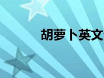 胡蘿卜英文介紹（胡蘿卜英文）